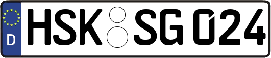 HSK-SG024