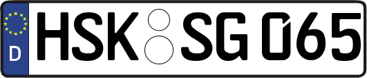HSK-SG065