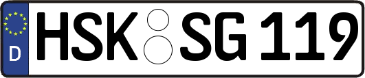 HSK-SG119