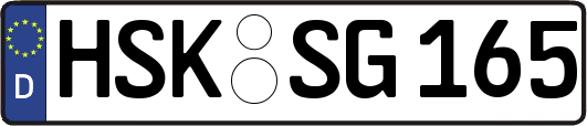 HSK-SG165