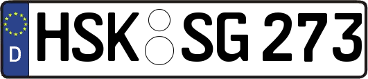 HSK-SG273