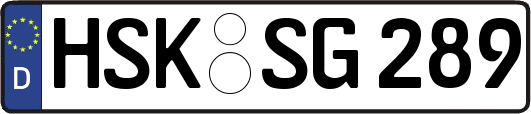 HSK-SG289