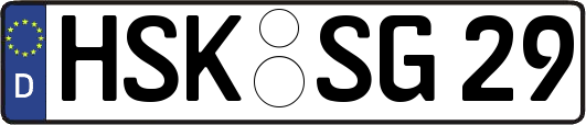 HSK-SG29