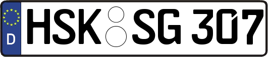HSK-SG307