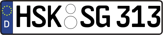 HSK-SG313