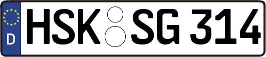 HSK-SG314