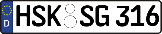 HSK-SG316
