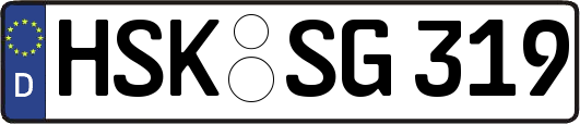 HSK-SG319