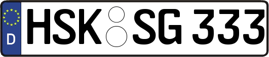 HSK-SG333