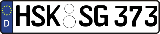 HSK-SG373
