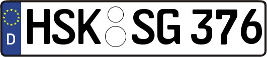 HSK-SG376
