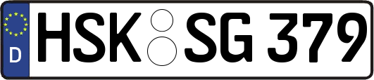 HSK-SG379