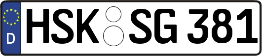 HSK-SG381
