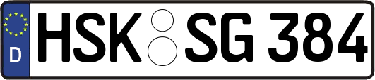 HSK-SG384