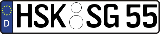 HSK-SG55