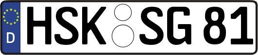 HSK-SG81