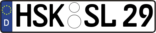 HSK-SL29