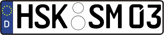 HSK-SM03