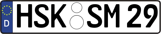 HSK-SM29