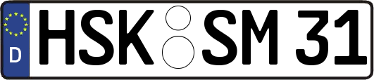HSK-SM31