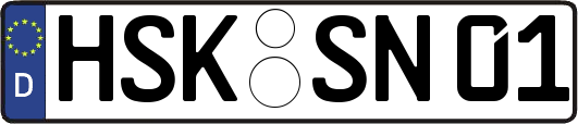HSK-SN01