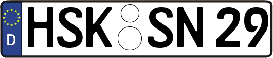 HSK-SN29