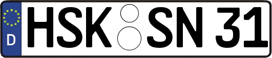 HSK-SN31
