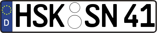HSK-SN41