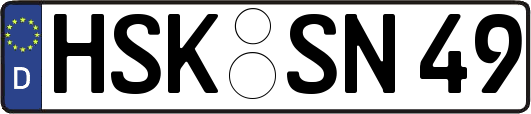 HSK-SN49