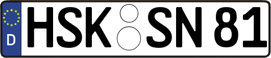 HSK-SN81