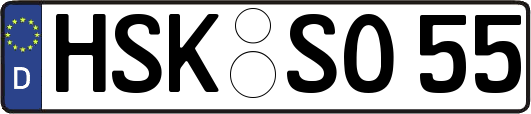 HSK-SO55