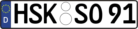 HSK-SO91