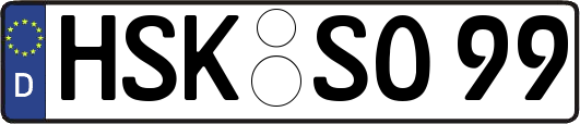 HSK-SO99