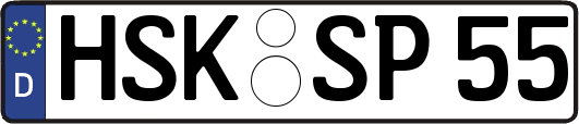 HSK-SP55