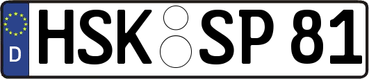 HSK-SP81