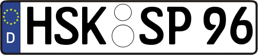 HSK-SP96