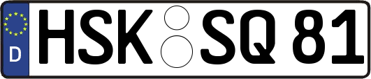 HSK-SQ81