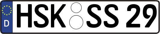 HSK-SS29