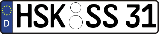 HSK-SS31