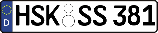 HSK-SS381
