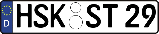 HSK-ST29
