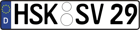 HSK-SV29