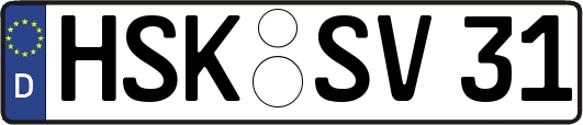 HSK-SV31