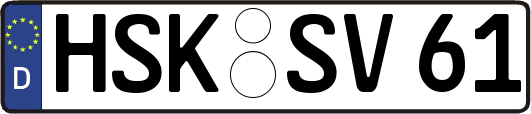 HSK-SV61