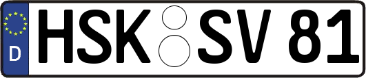 HSK-SV81