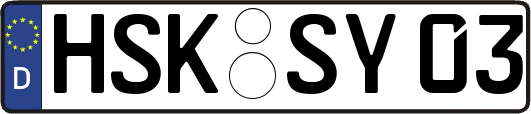 HSK-SY03