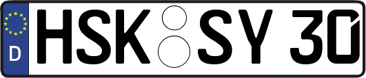 HSK-SY30