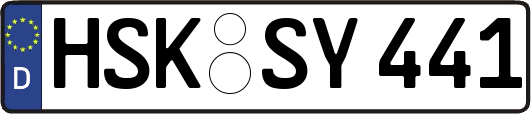 HSK-SY441