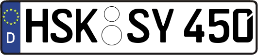 HSK-SY450