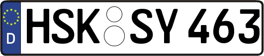 HSK-SY463